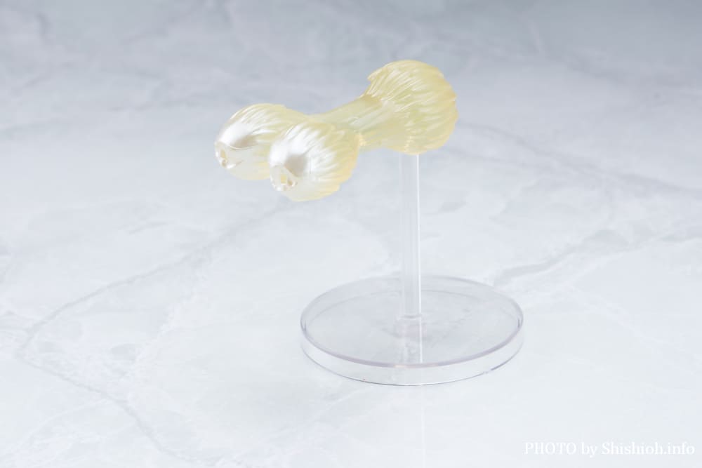 S.H.Figuarts �N������-�����̐e�F-