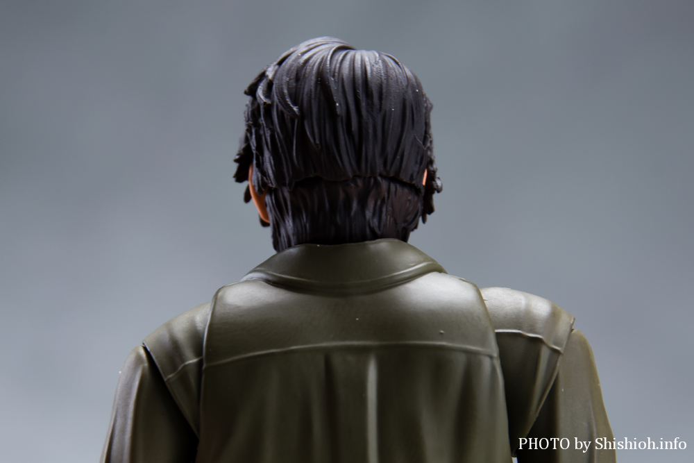 S.H.Figuarts l