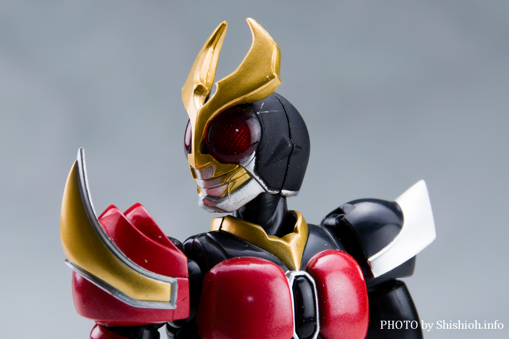 S.H.Figuarts ���ʃ��C�_�[ �A�M�g �t���C���t�H�[��