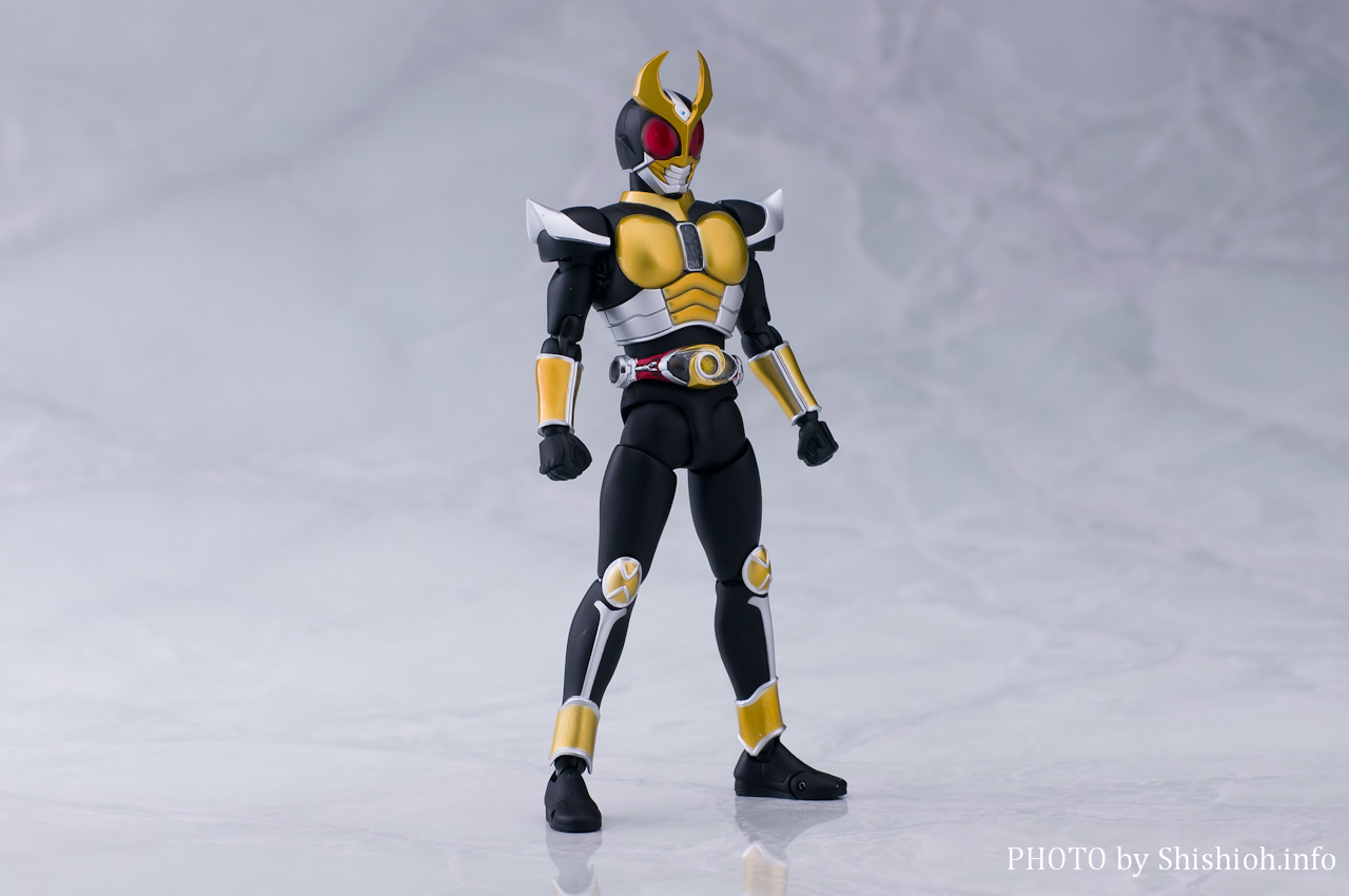 S.H.Figuartsi^@j ʃC_[AMg OhtH[