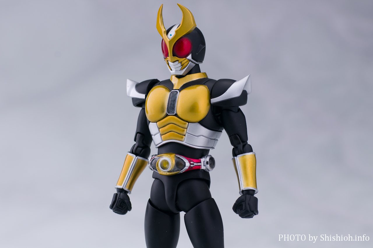 S.H.Figuartsi^@j ʃC_[AMg OhtH[