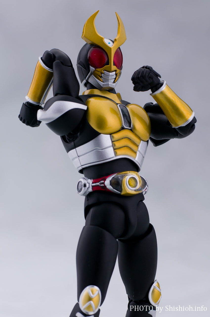 S.H.Figuarts(真骨彫製法) 仮面ライダーアギト グランドフォーム