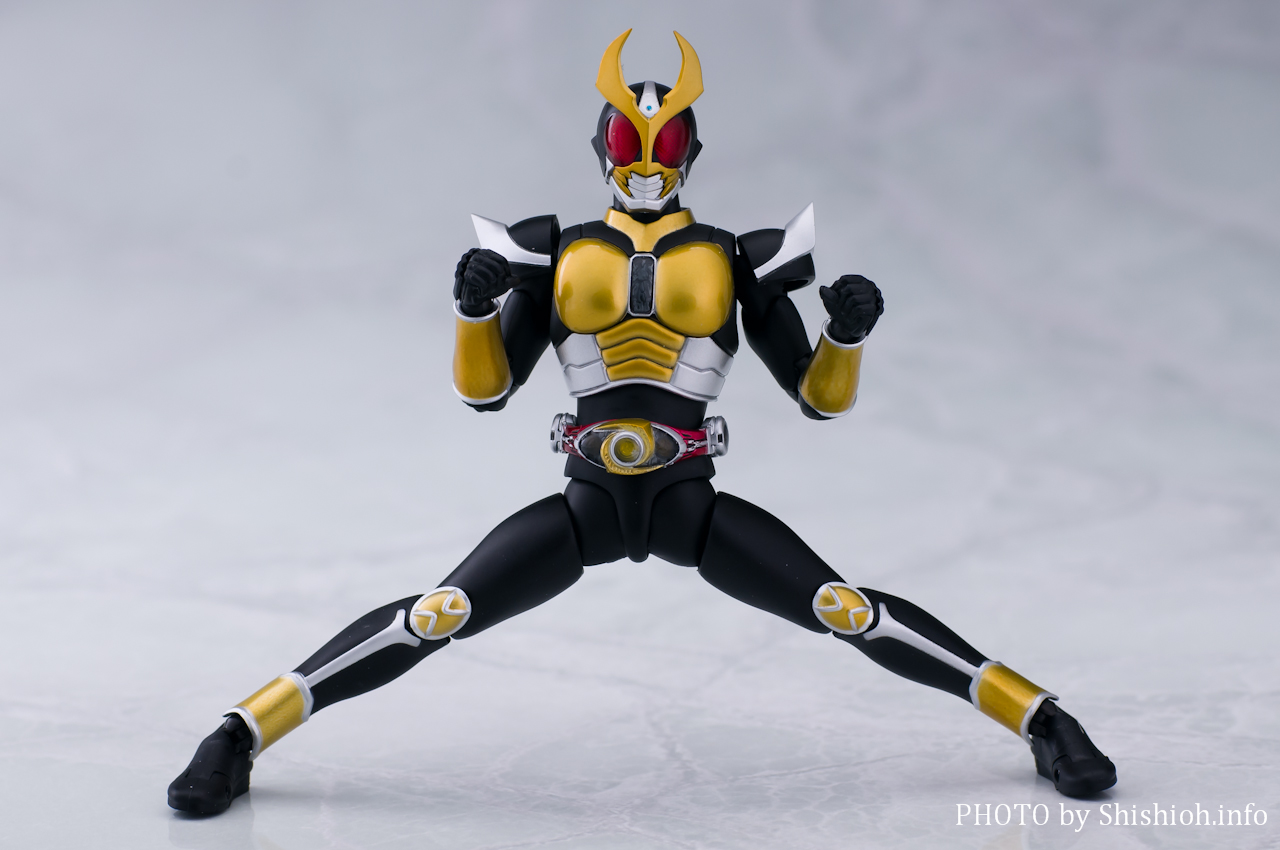 S.H.Figuartsi^@j ʃC_[AMg OhtH[