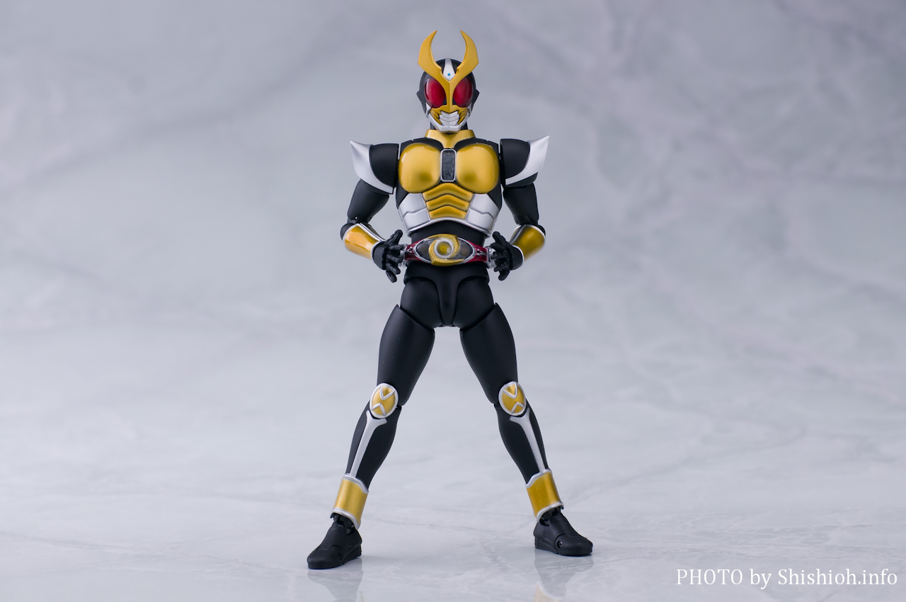 S.H.Figuartsi^@j ʃC_[AMg OhtH[