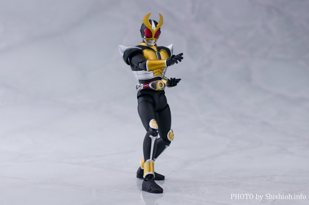 S.H.Figuartsi^@j ʃC_[AMg OhtH[