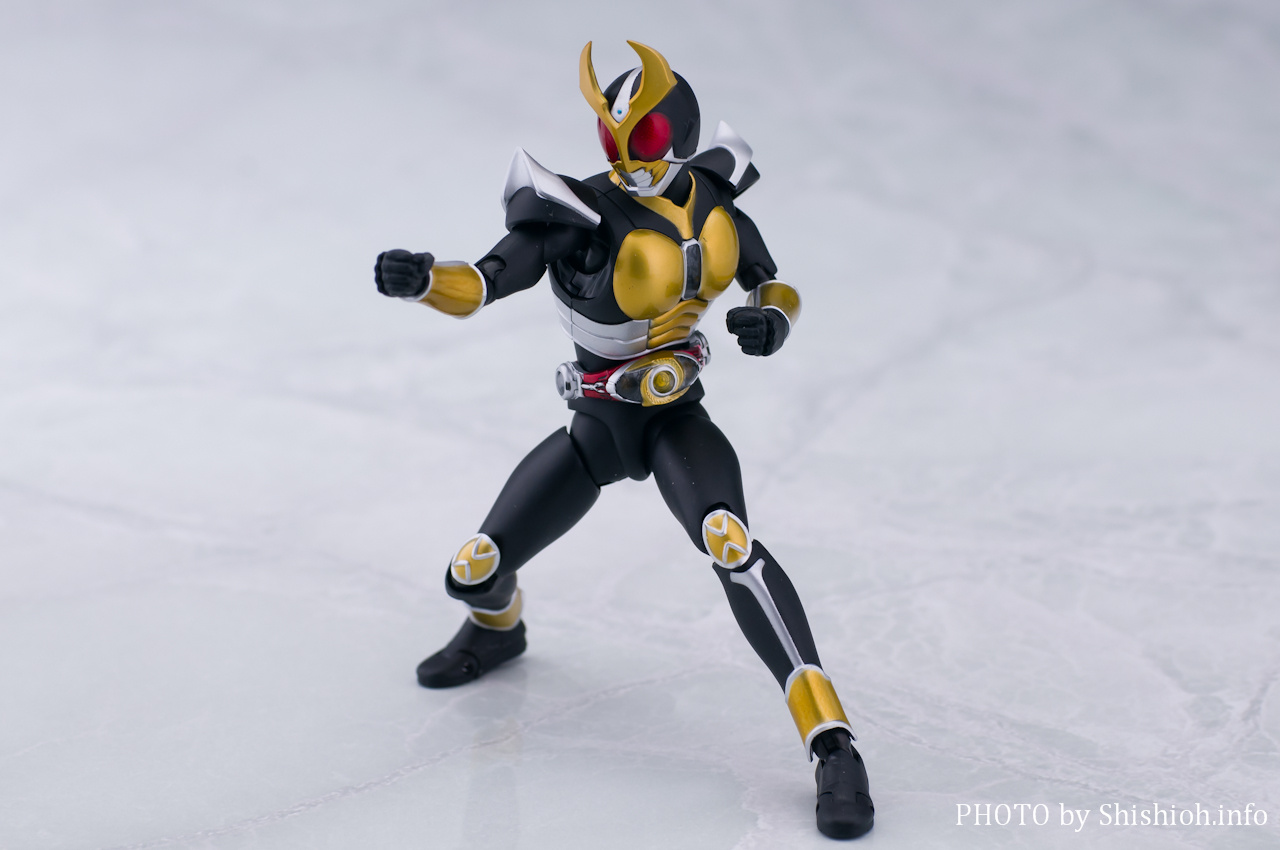 S.H.Figuartsi^@j ʃC_[AMg OhtH[