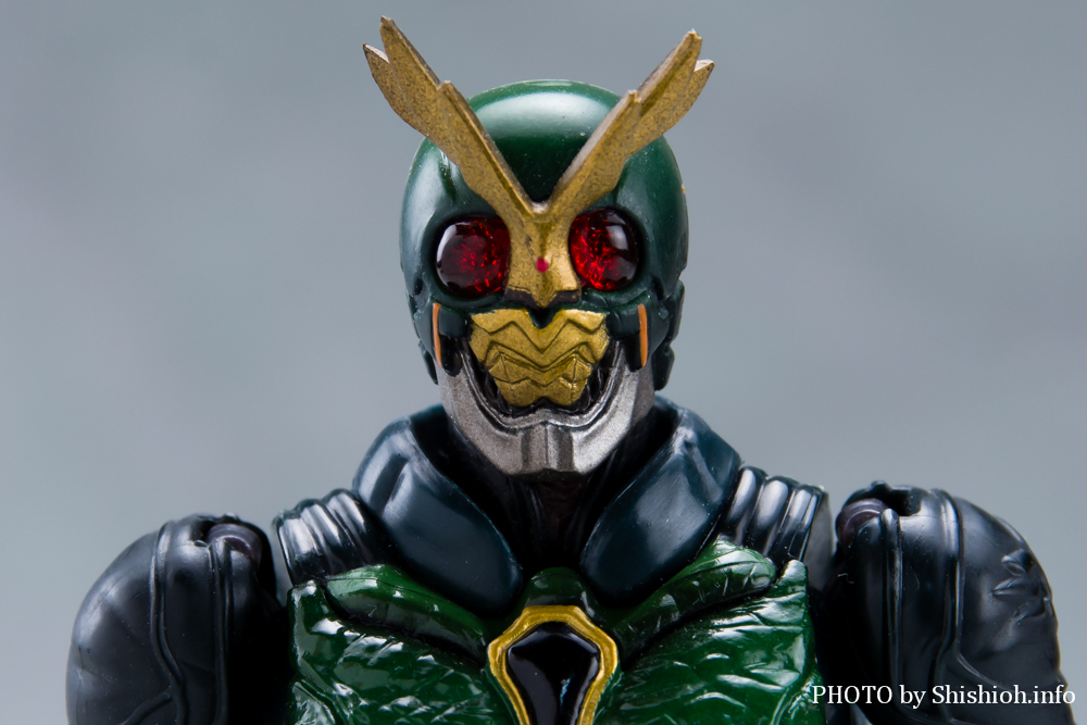 S.H.Figuarts 仮面ライダーアナザーアギト