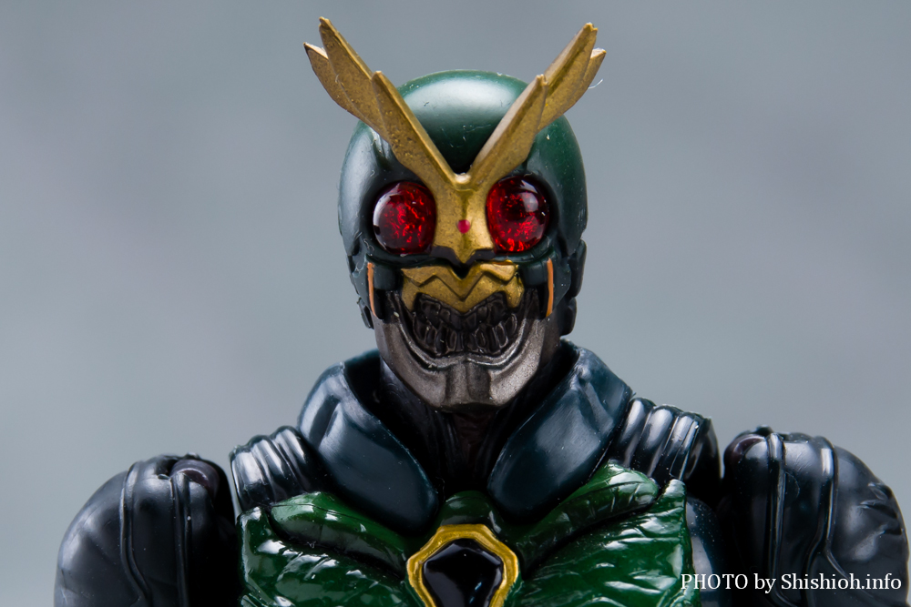 S.H.Figuarts 仮面ライダーアナザーアギト