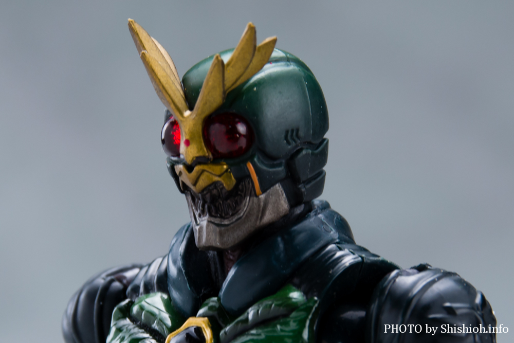 S.H.Figuarts ���ʃ��C�_�[�A�i�U�[�A�M�g