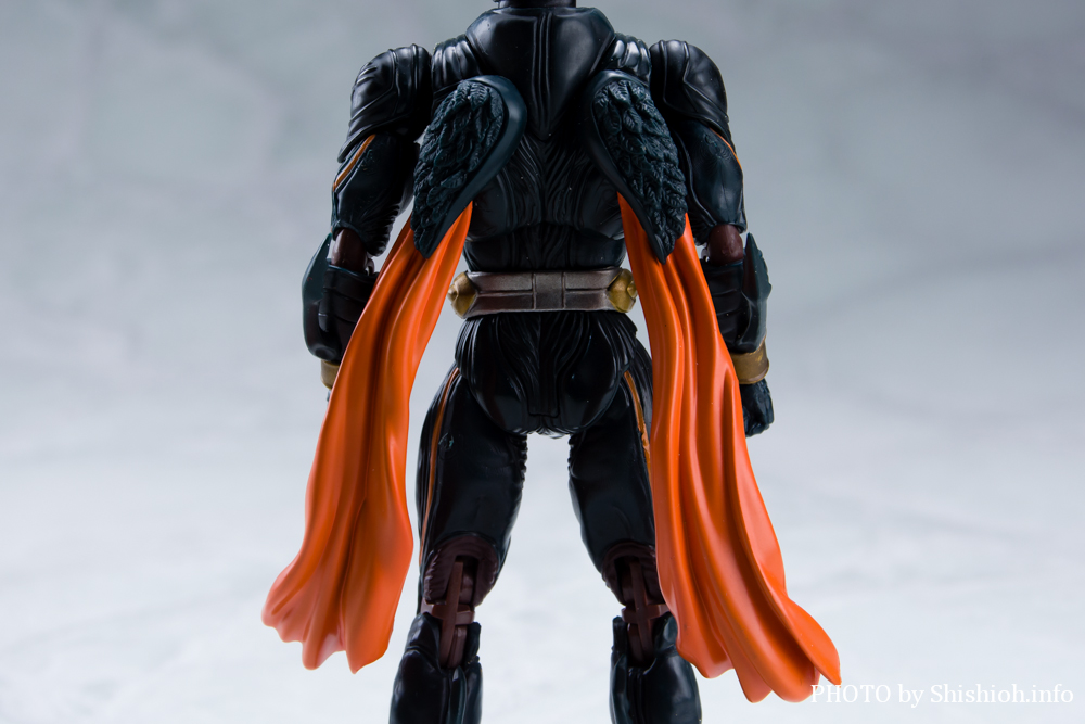 S.H.Figuarts 仮面ライダーアナザーアギト