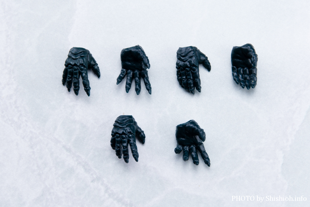 S.H.Figuarts 仮面ライダーアナザーアギト