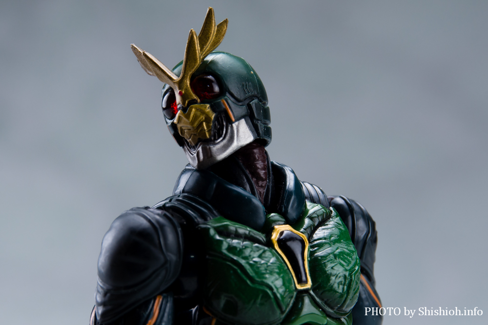 S.H.Figuarts 仮面ライダーアナザーアギト