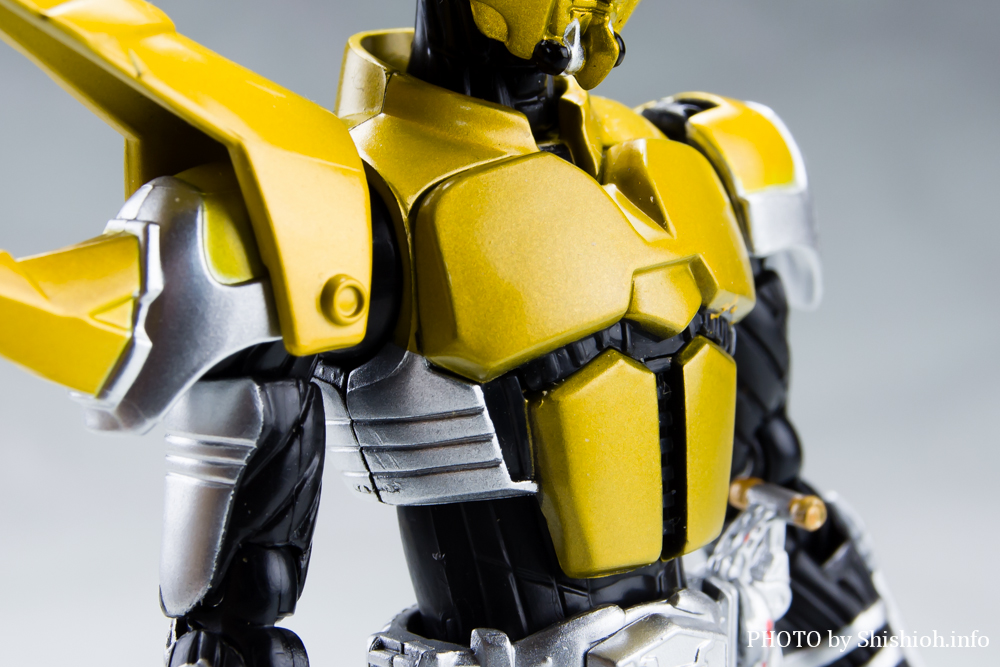 S.H.Figuarts 仮面ライダーコーカサス