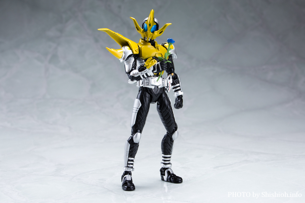 S.H.Figuarts 仮面ライダーコーカサス