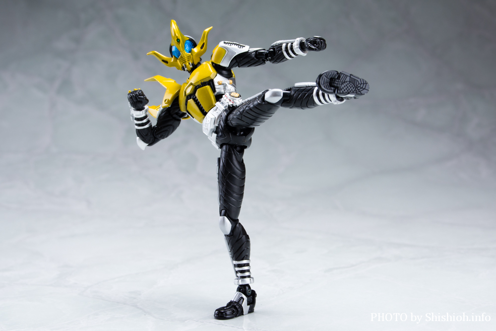 S.H.Figuarts 仮面ライダーコーカサス