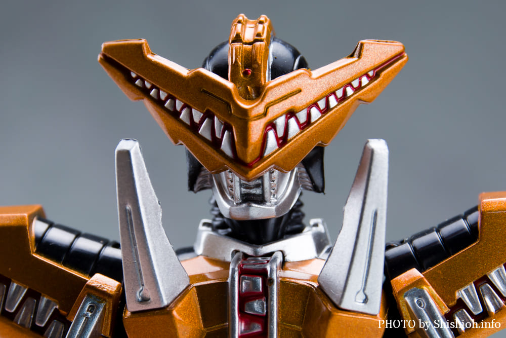 S.H.Figuarts ���ʃ��C�_�[ �K�I�E