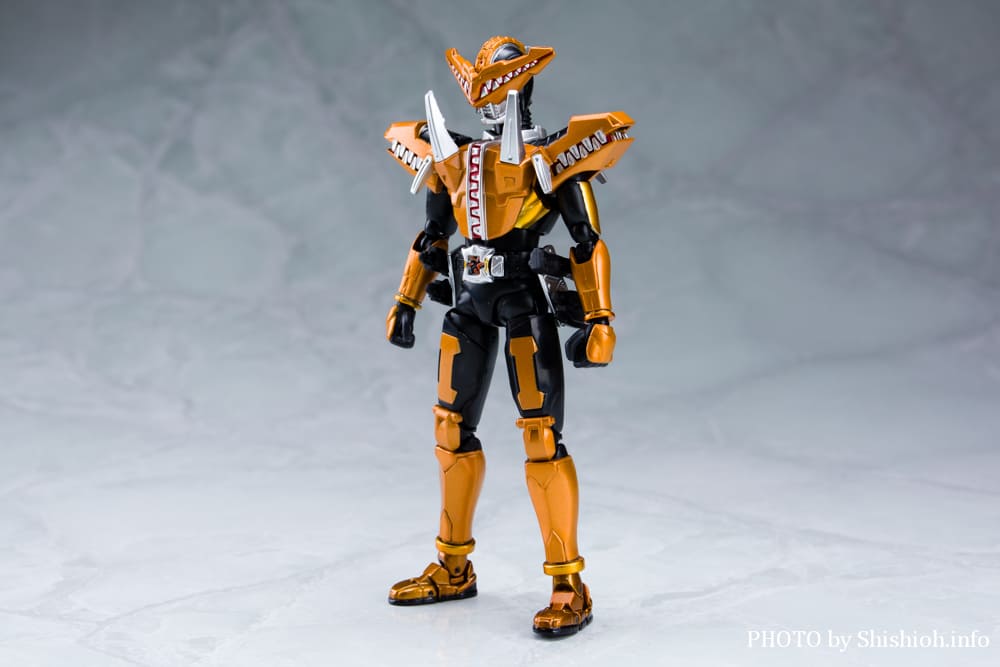 S.H.Figuarts ���ʃ��C�_�[ �K�I�E