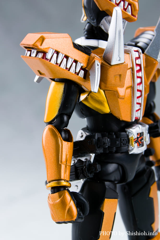 S.H.Figuarts ���ʃ��C�_�[ �K�I�E