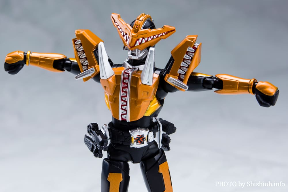 S.H.Figuarts ���ʃ��C�_�[ �K�I�E