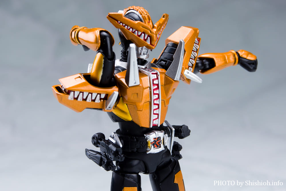 S.H.Figuarts ���ʃ��C�_�[ �K�I�E