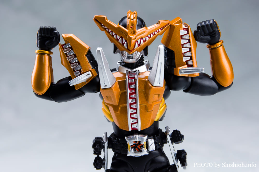 S.H.Figuarts ���ʃ��C�_�[ �K�I�E