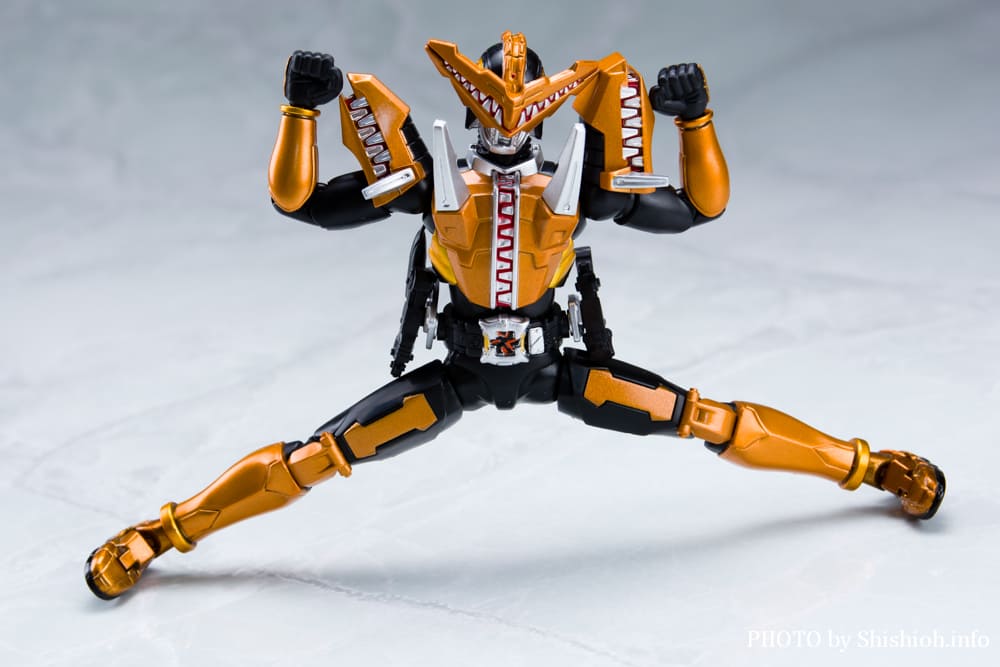S.H.Figuarts ���ʃ��C�_�[ �K�I�E