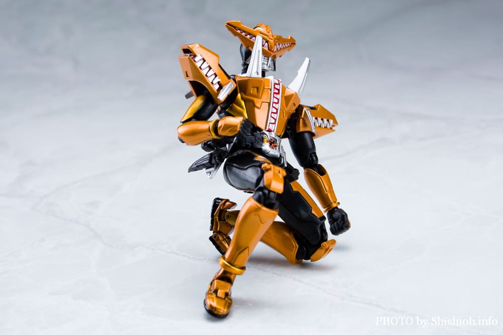 S.H.Figuarts ���ʃ��C�_�[ �K�I�E