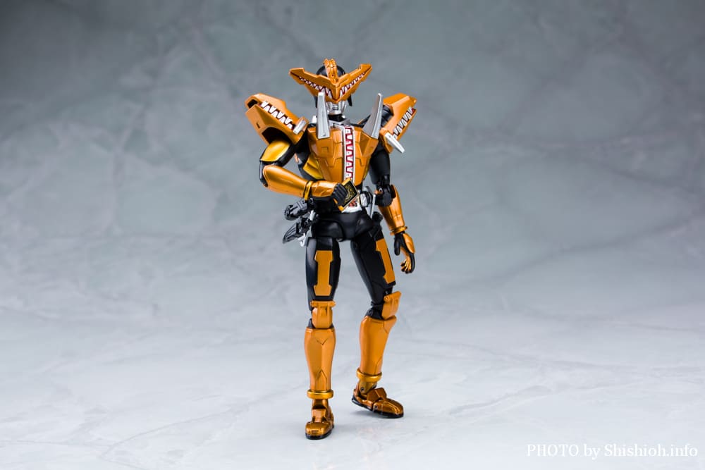 S.H.Figuarts ���ʃ��C�_�[ �K�I�E