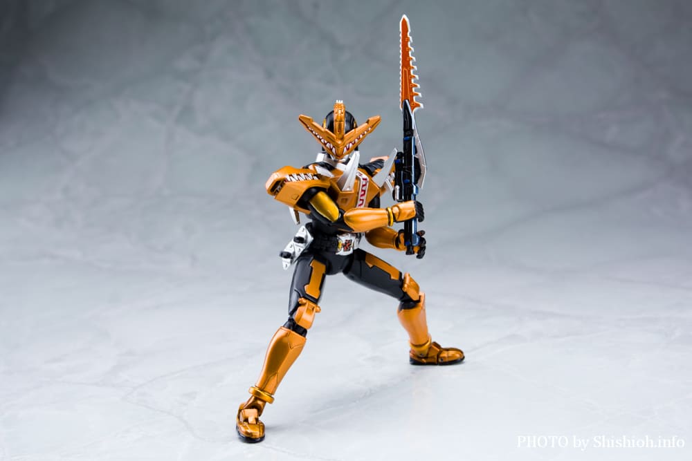 S.H.Figuarts ���ʃ��C�_�[ �K�I�E
