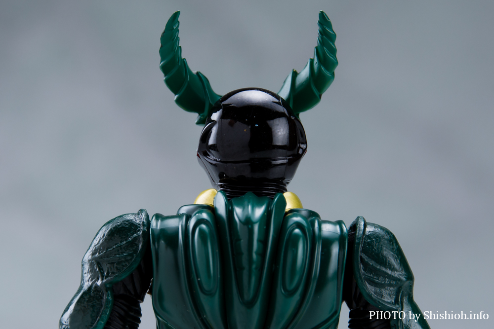 S.H.Figuarts ���ʃ��C�_�[�M���X