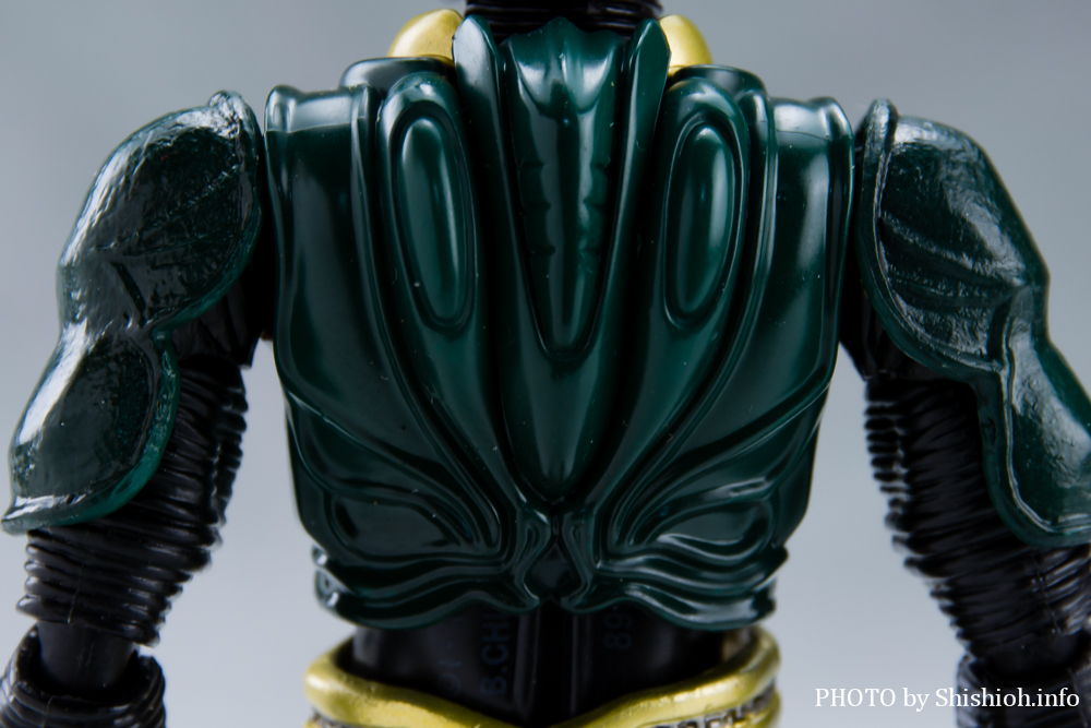 S.H.Figuarts ���ʃ��C�_�[�M���X