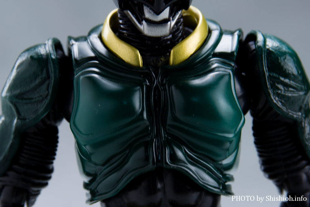 S.H.Figuarts ���ʃ��C�_�[�M���X