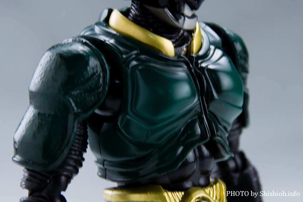 S.H.Figuarts ���ʃ��C�_�[�M���X
