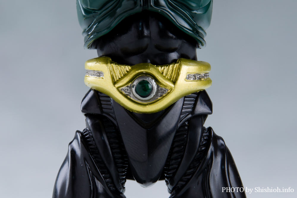 S.H.Figuarts ���ʃ��C�_�[�M���X