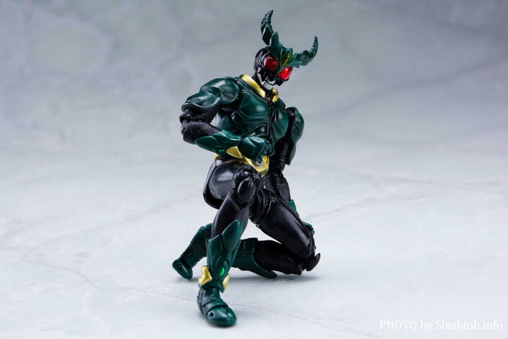 S.H.Figuarts ���ʃ��C�_�[�M���X