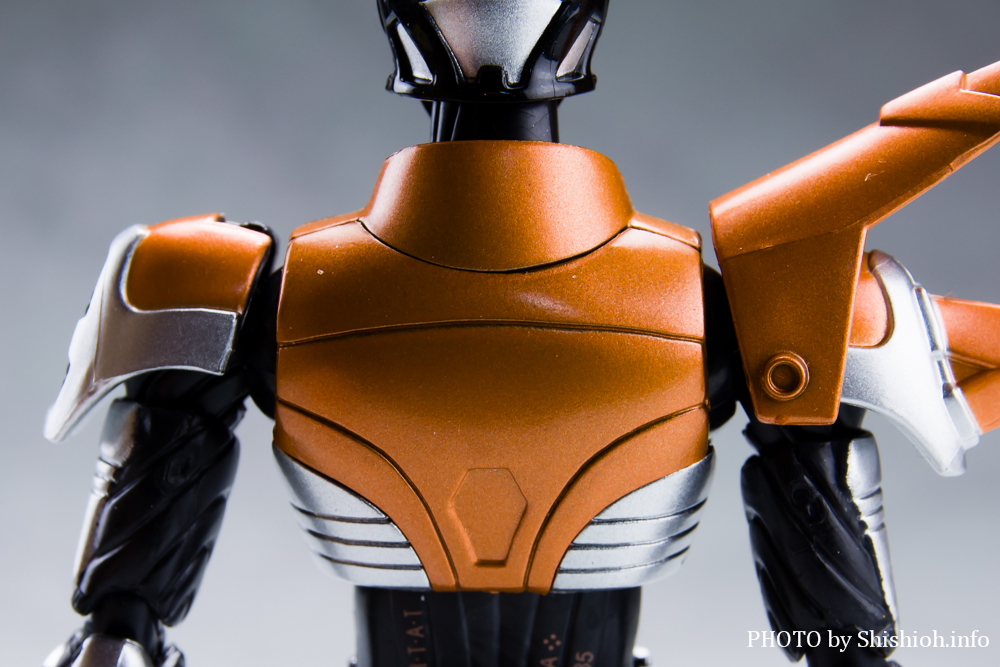 S.H.Figuarts 仮面ライダーケタロス