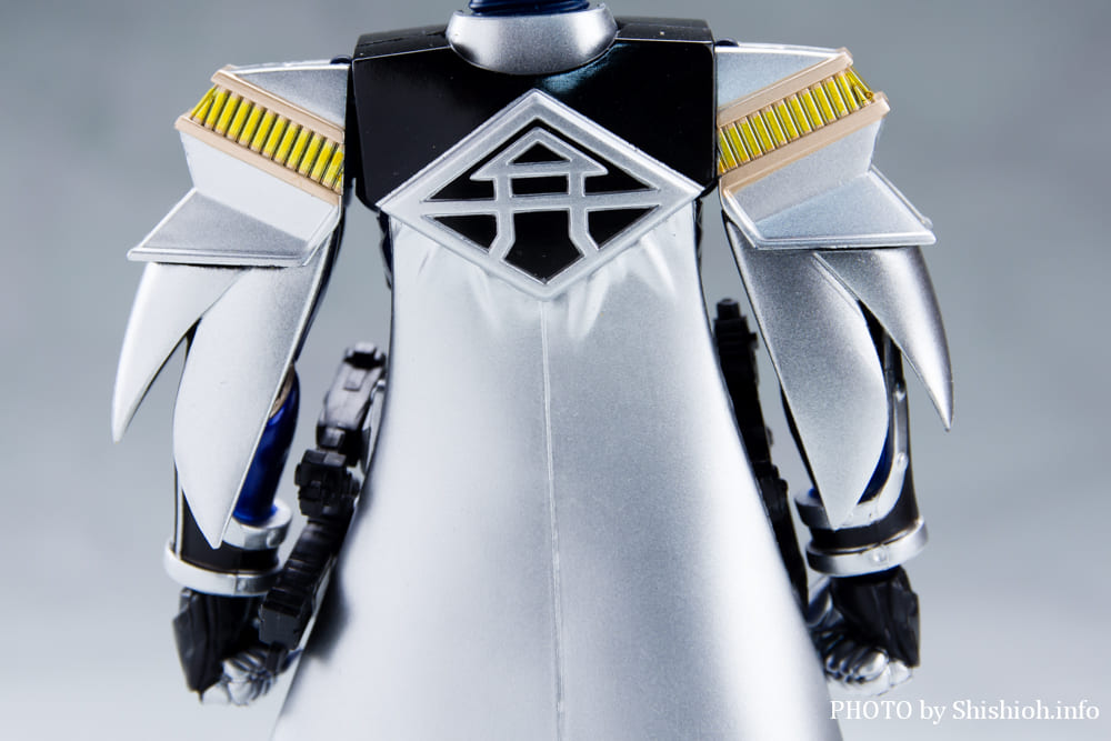 S.H.Figuarts ���ʃ��C�_�[NEW�d�� �x�K�t�H�[��