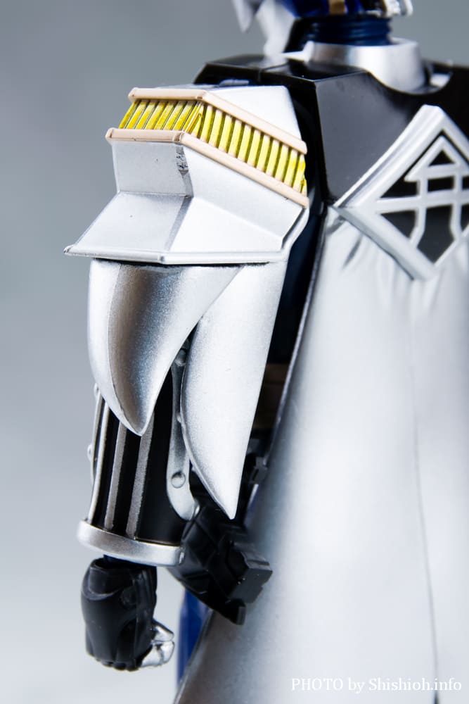 S.H.Figuarts ���ʃ��C�_�[NEW�d�� �x�K�t�H�[��