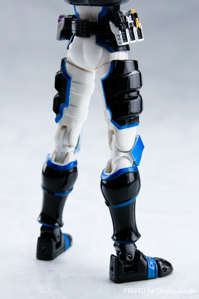 S.H.Figuarts ���ʃ��C�_�[ ���C�W���O�C�N�T