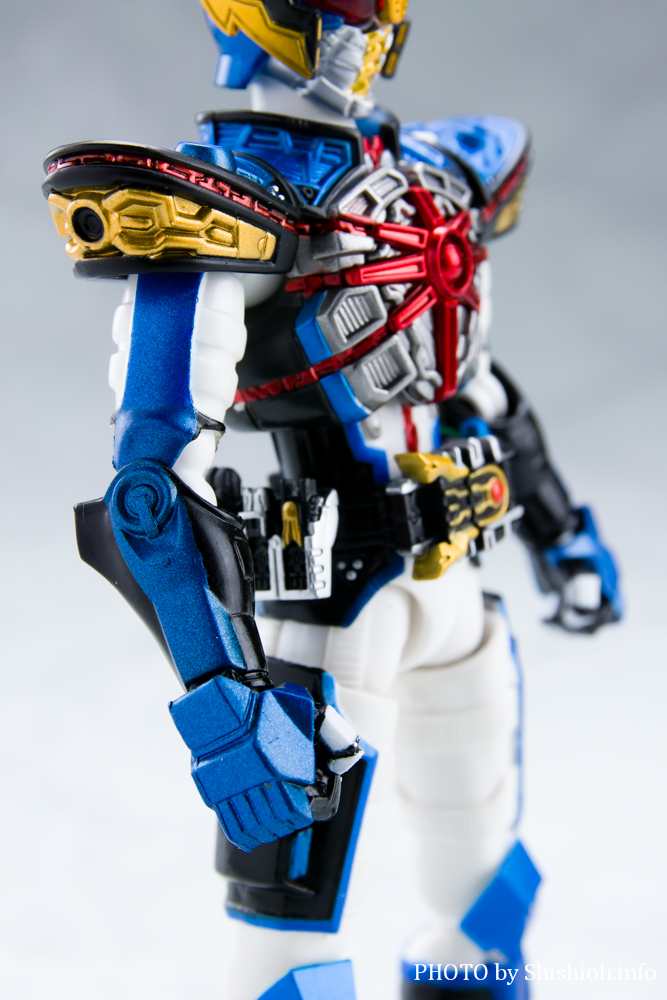 S.H.Figuarts ���ʃ��C�_�[ ���C�W���O�C�N�T