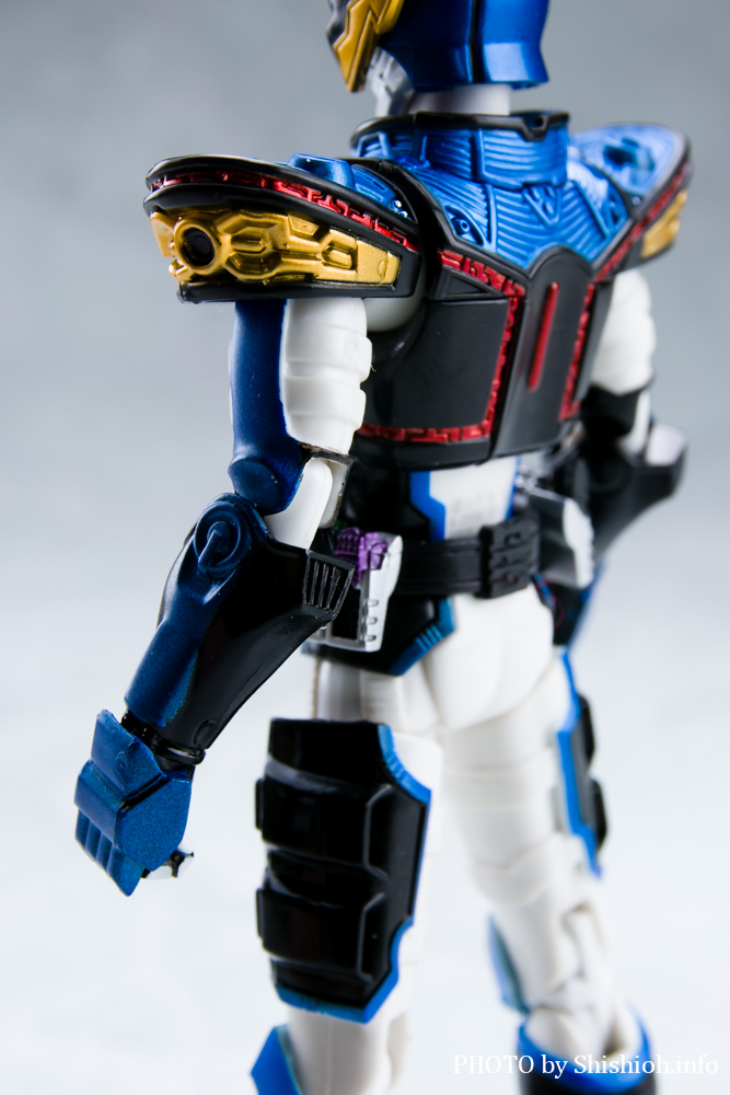 S.H.Figuarts ���ʃ��C�_�[ ���C�W���O�C�N�T