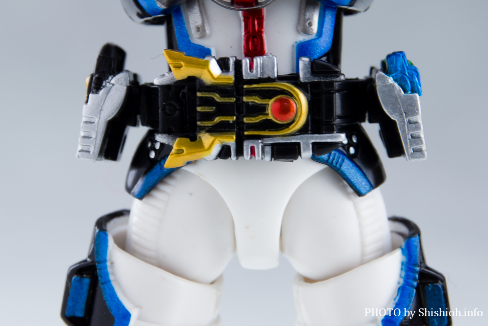 S.H.Figuarts ���ʃ��C�_�[ ���C�W���O�C�N�T