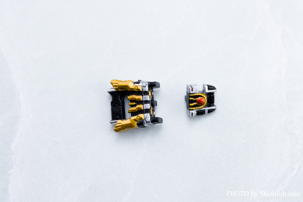 S.H.Figuarts ���ʃ��C�_�[ ���C�W���O�C�N�T