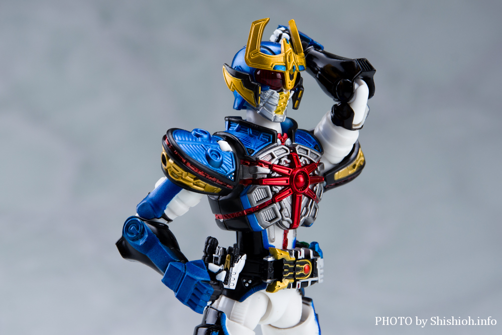 S.H.Figuarts ���ʃ��C�_�[ ���C�W���O�C�N�T