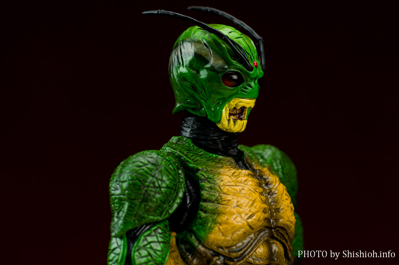 S.H.Figuarts 仮面ライダーシン