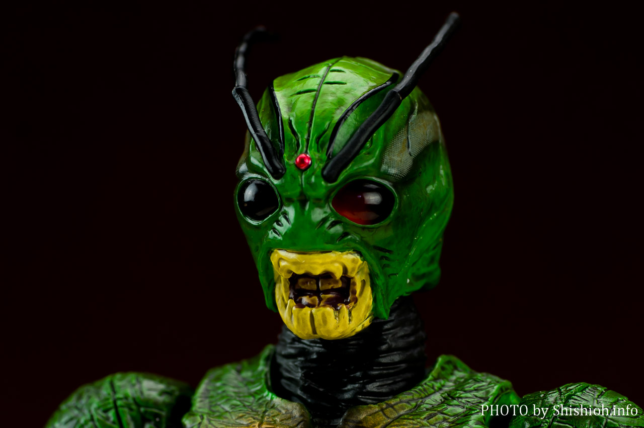 S.H.Figuarts 仮面ライダーシン