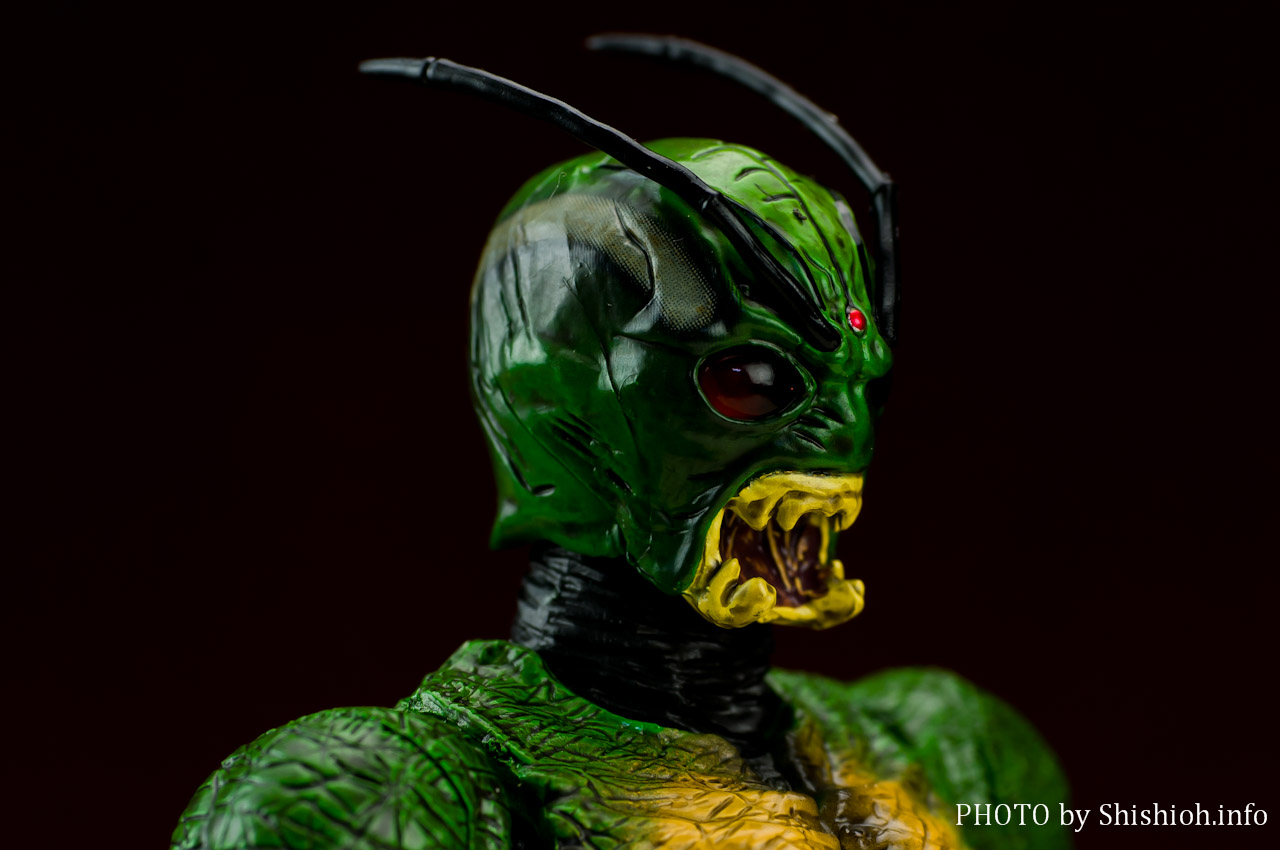 S.H.Figuarts 仮面ライダーシン