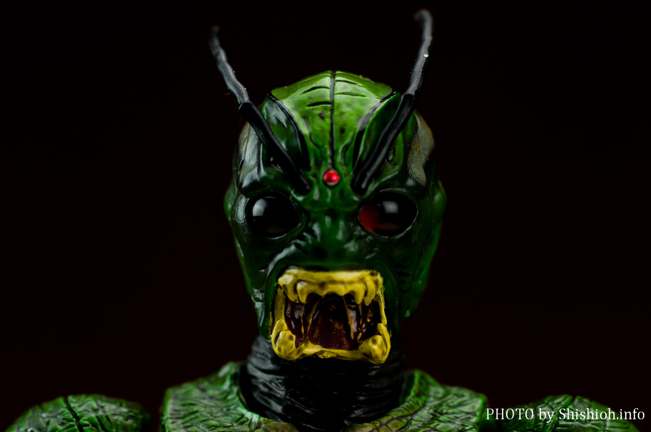 S.H.Figuarts 仮面ライダーシン