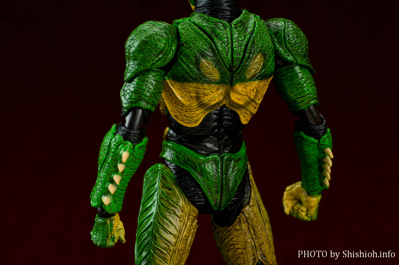 S.H.Figuarts 仮面ライダーシン