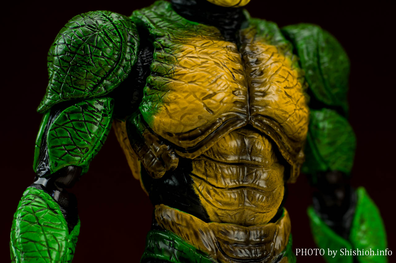 S.H.Figuarts 仮面ライダーシン